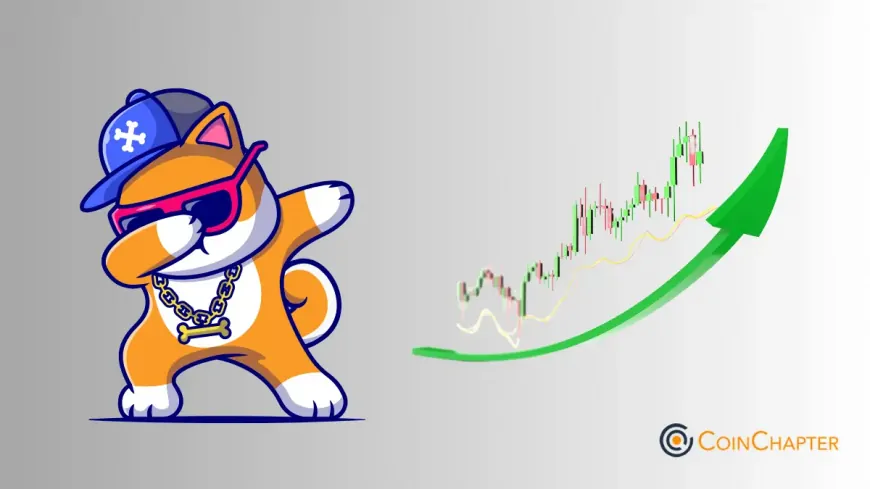 Will Shiba Inu (SHIB) Coin Price Rally Sustain Its Momentum in October 2024?