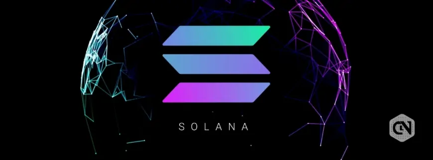 Analyst Explains Why Solana is the Next Multibagger Crypto