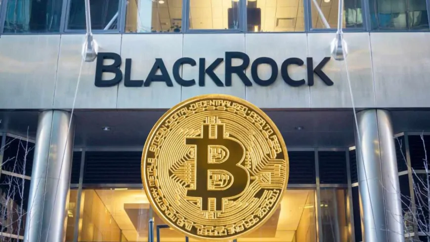 Blackrock Resumes Bitcoin Buying, Is A Breakout To $70K Next?