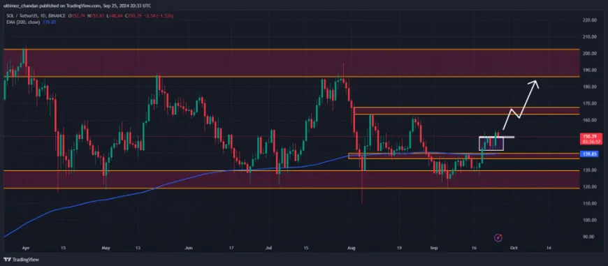 Solana Meme Coins Explode, Time to Buy SOL?