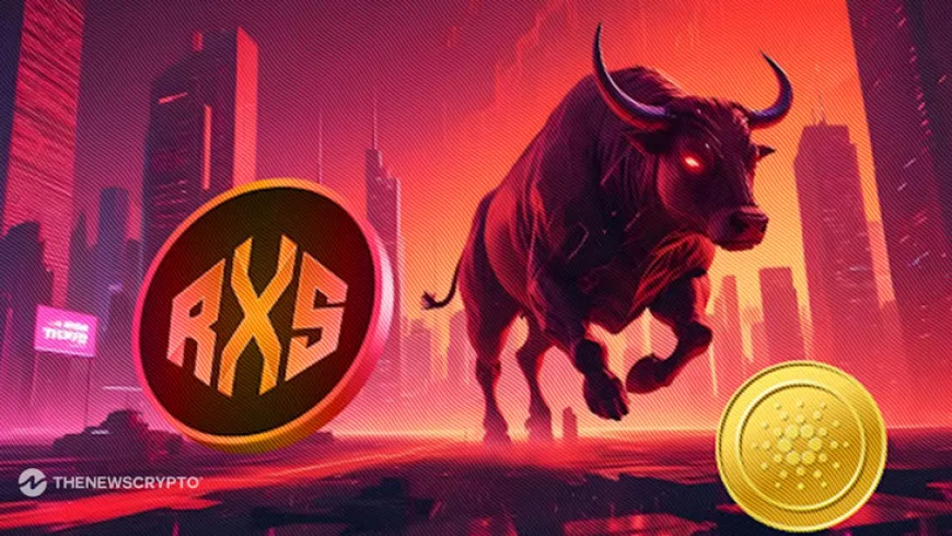 Time to Ditch Solana and Cardano? SOL and ADA's Bleak Future and the Best High-Return Token for the 2025 Bull Run