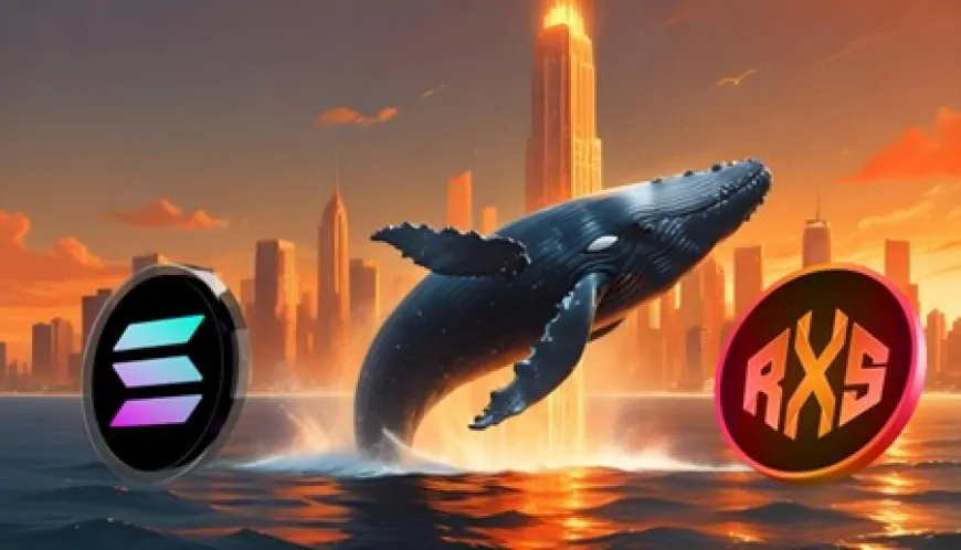 Toncoin (TON) Consolidates, While Giant Whales Show Interest in Solana (SOL) and Rexas Finance (RXS)