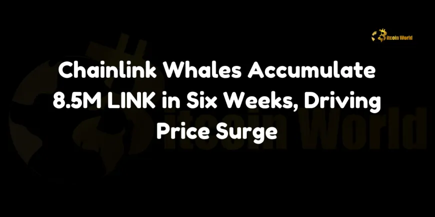 Chainlink Whales Accumulate 8.5M LINK in Six Weeks, Driving Price Surge