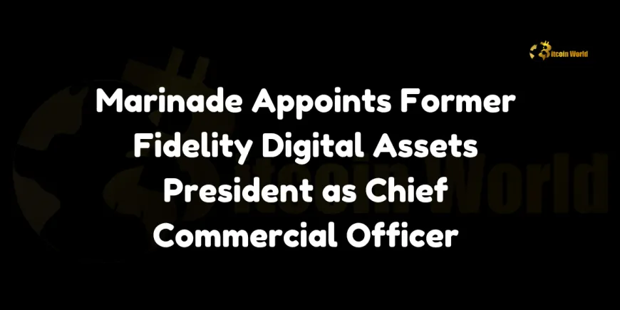 Marinade Appoints Former Fidelity Digital Assets President as Chief Commercial Officer