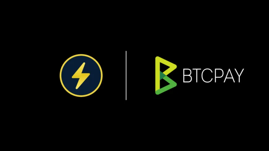 Bitcoin Swap Service Boltz Launches BTCPay Server Plugin For Lightning Payments