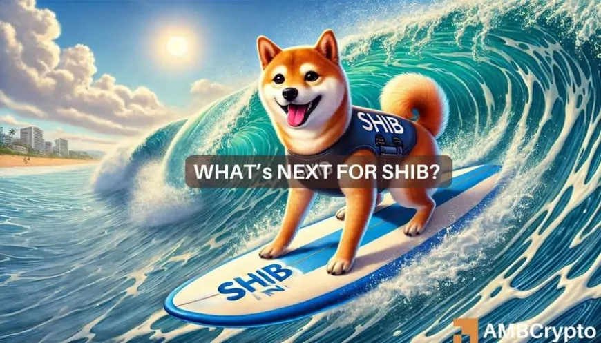 Mapping Shiba Inu's price prediction as SHIB rallies 12% in 24 hours