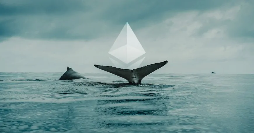 Ethereum Whale Scores Massive Profit as ETH Surges Past $2,600