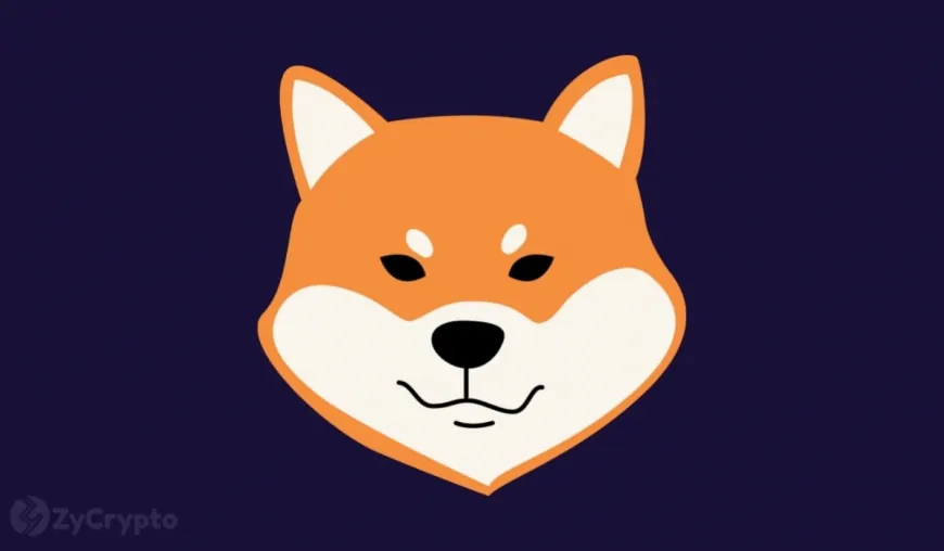 Shiba Inu Lead Marketer Teases Timeline for Major SHIB Price Pump