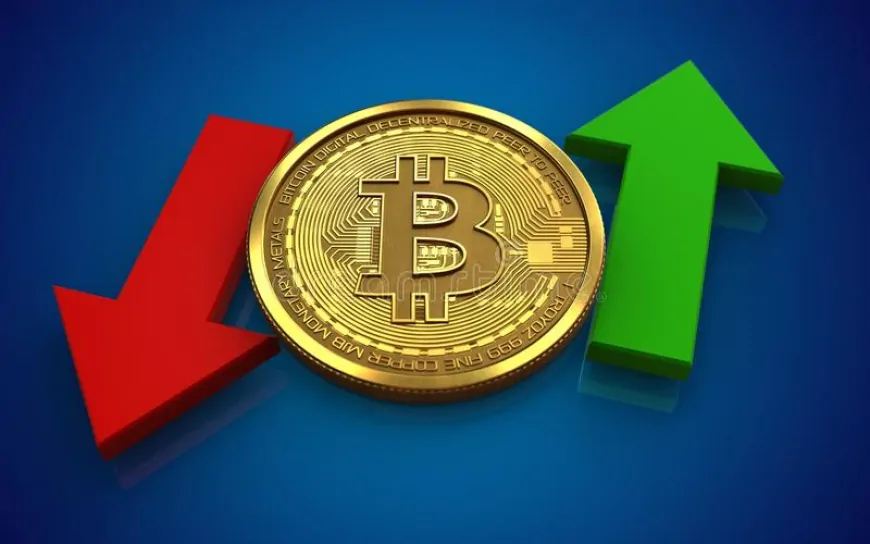 Is Bitcoin's Recent Surge a Sign of a Major Rally or a Warning for a Potential Downturn?