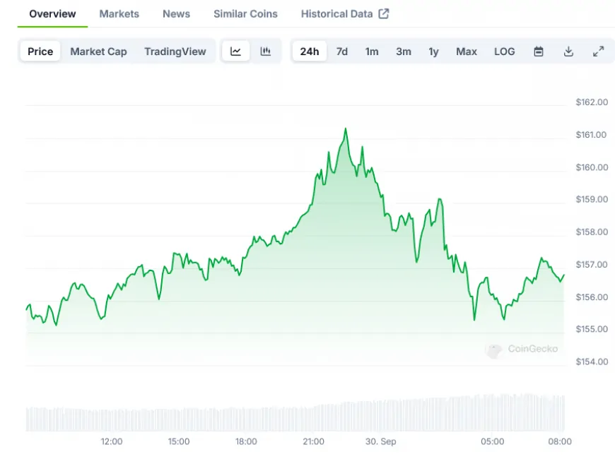 SOL Price Predictions Range from $125 to $207 for 2024