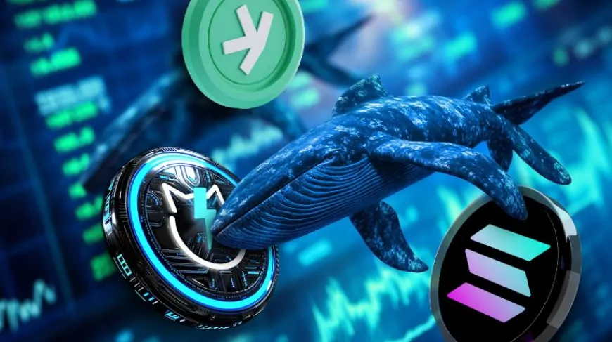 Crypto Whales are Buying Solana, Kaspa, and JetBolt as Altseason Approaches Fast