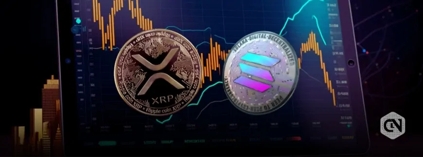 Ripple Ranked 6th in Total Market Cap; Will XRP Surpass Solana & BNB?