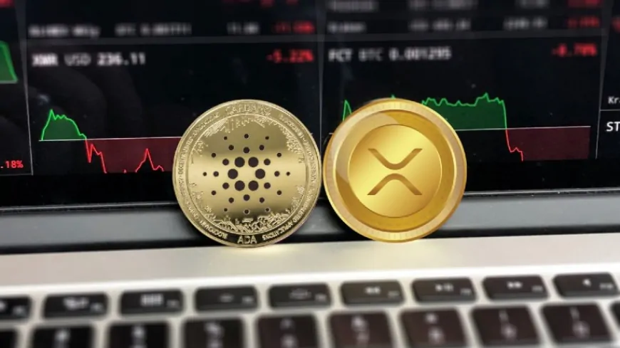 Ethereum Presale Token Triggers Massive FOMO From Ripple (XRP) and Cardano (ADA) Whales Eyeing 10,000x Run