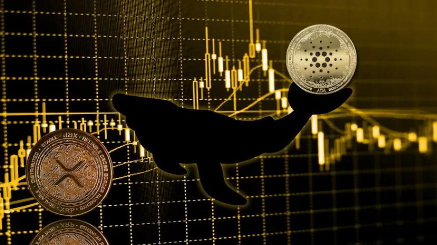 Viral Cardano (ADA) and Ripple (XRP) Rival to Rise 1,600%, Traders Buy Before October Bull Run