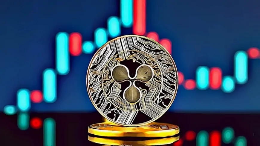 Ripple Whales Accumulate 470 Million XRP As Major Changes Loom For XRPL And DeFi