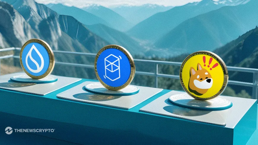 Top 3 Altcoins Surge: BONK, Fantom and Sui Lead the Crypto Rally