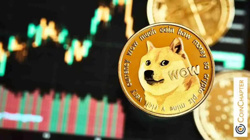 Dogecoin (DOGE) Price Surges 20% as Whale Activity Sparks Market Movement