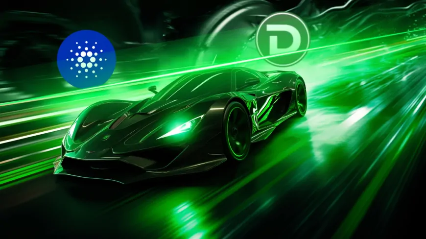 Top Altcoin Pick for a Bullish Q4: Chinese Whales Ditch BNB and ADA to Go All-In on DTX Exchange After Rate Cuts