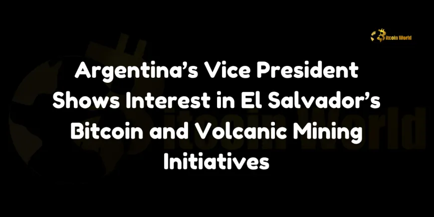 Argentina VP interest in El Salvador's Bitcoin project