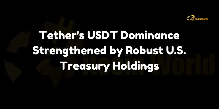 Tether USDT dominance