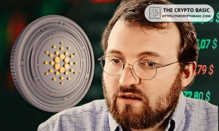 Cardano Founder Celebrates Launch of Midnight Testnet: “It's Worth Giving Some Love”