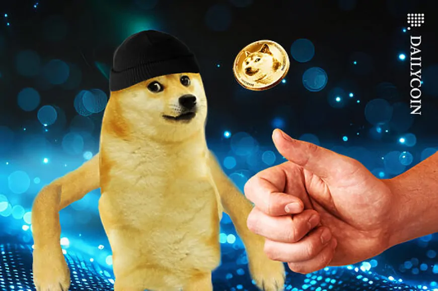 Dogecoin Jumps 72% in Fresh Wallets: DOGE Rally Not Over Yet?