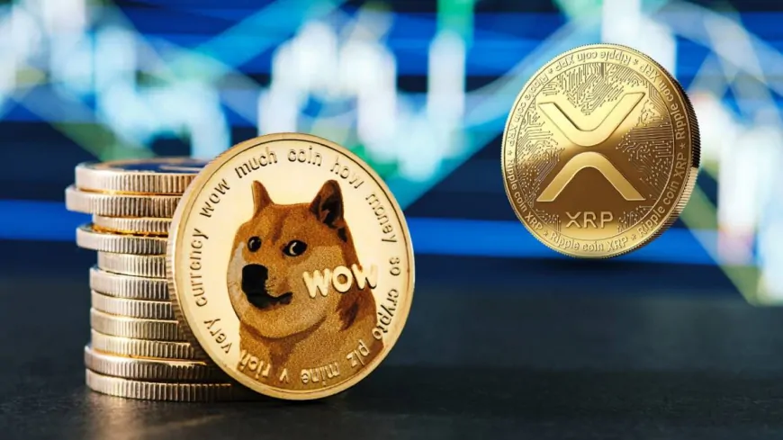 Hot Ethereum Presale Token RCO Finance (RCOF) Expected to Outperform Dogecoin and XRP Price with 1,550% Growth Potential