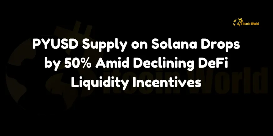 PYUSD Supply on Solana Drops by 50% Amid Declining DeFi Liquidity Incentives