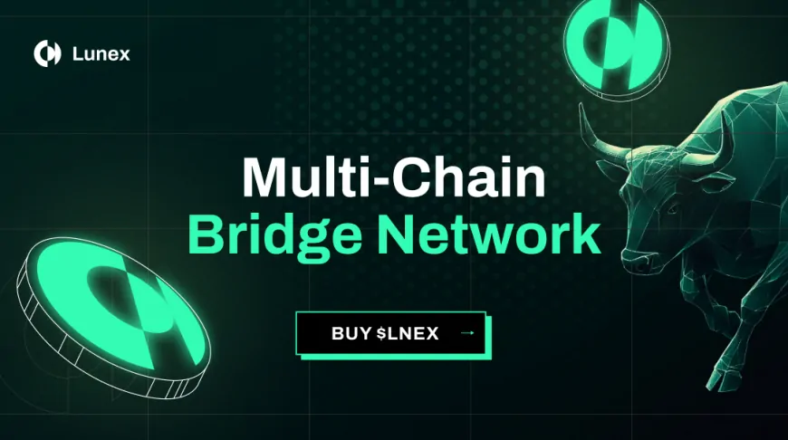 Lunex Network Secures Impressive $500,000 Funding, Whales Wonder If This Is The Next Best Crypto After Cardano and Shiba Inu?