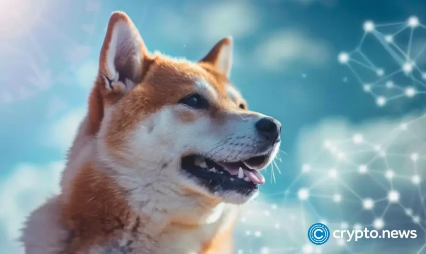 Leading DOGE whale calls his recent $900K investment ‘last chance at wealth'