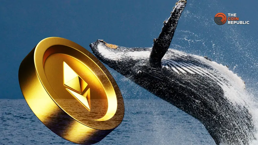 Ethereum Whale Sells 19K ETH As Market Reacts To Price Slump