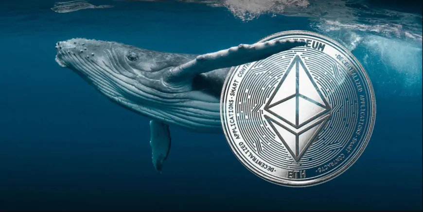 Ethereum (ETH) Whales Confused! While One Was Selling, the Whale That Found the Bottom Bought Again!