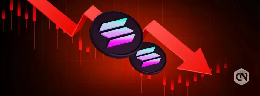 Solana Price Plummeting: Key Factors Behind $SOL Decline