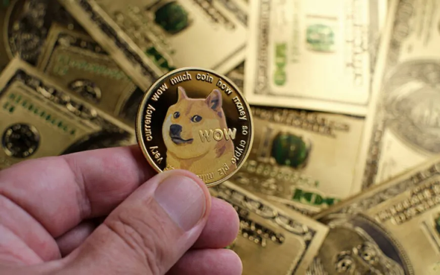 Dogecoin (DOGE) Price Aims for 50% Spike Fueled by Rising On-chain Activity from Whale Investors