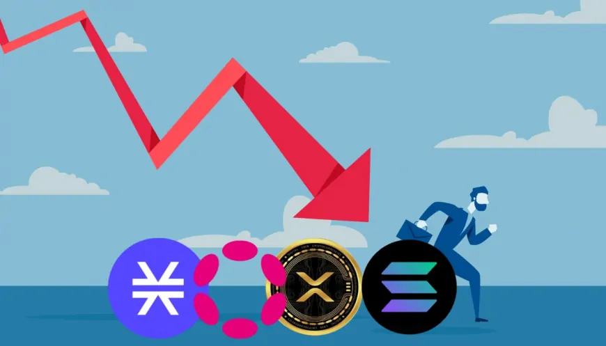 Solana, Cardano, Ripple, and Polkadot Slide Further: Is This a Range Deviation or Bearish Retest? Expert Weighs In