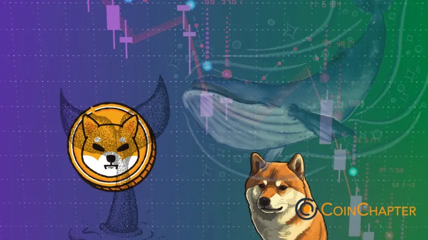 Shiba Inu Coin Set for a 74% Crash as Whales Dump Holding—Rektober For SHIB?