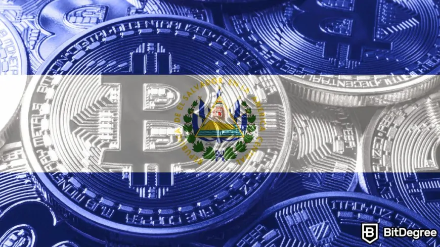 IMF Pushes El Salvador to Rethink Bitcoin Policy