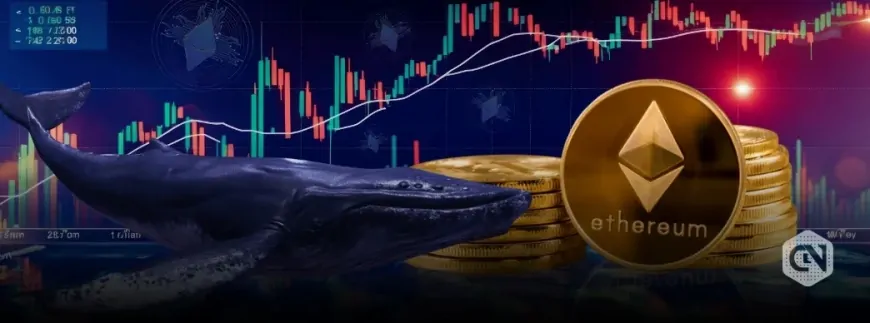 Ethereum ICO Whale Sells Another $14M ETH, Price Dip Ahead?