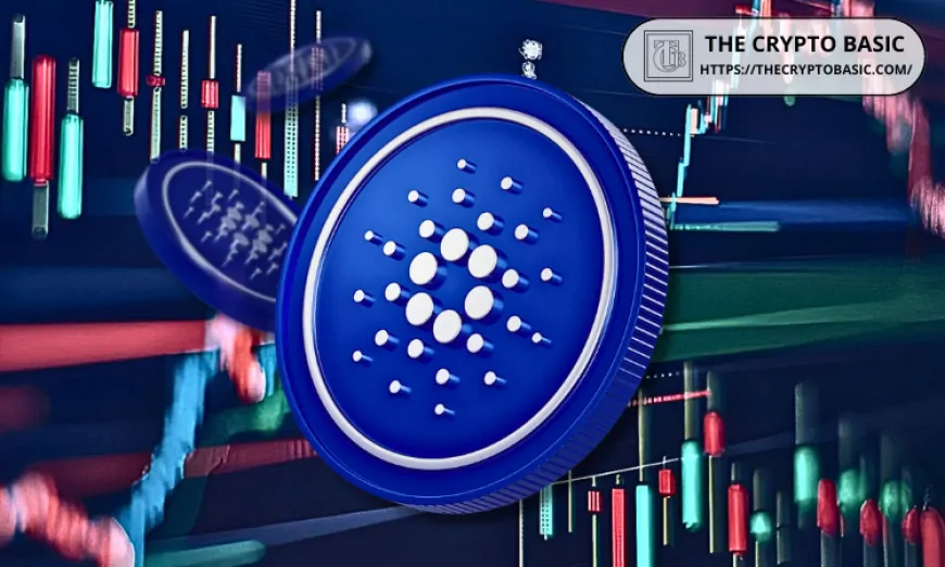 Analyst Says Cardano Price Correction Likely Not Over