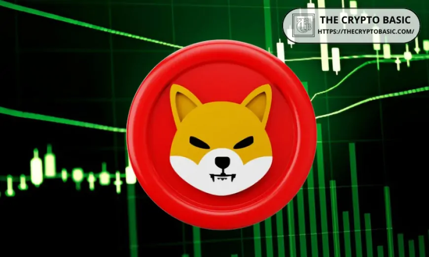 Shiba Inu To Surpass $0.00007 As Top Trader Identifies Long-Term SHIB Accumulation Zone