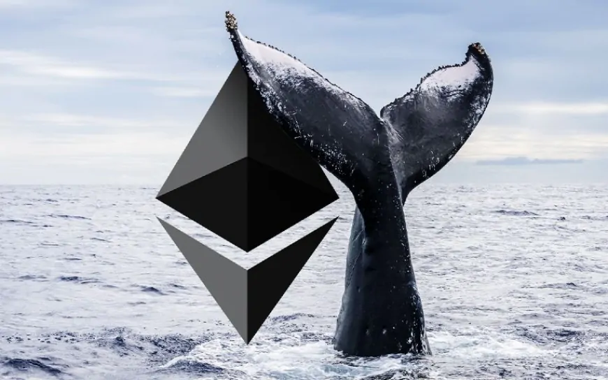 Ethereum Whale With $20,000,000 In Dogecoin Says This Altcoin Looks Exactly Like DOGE Did In 2020