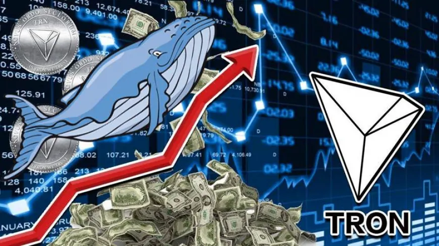 TRON Whale Bets Big on This Chainlink Alternative Poised for 2000% Returns by Q4 2024