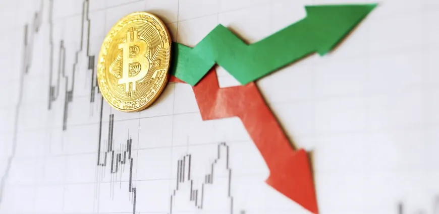 il Capo Shares What to Expect After Bitcoin's Slight Recovery