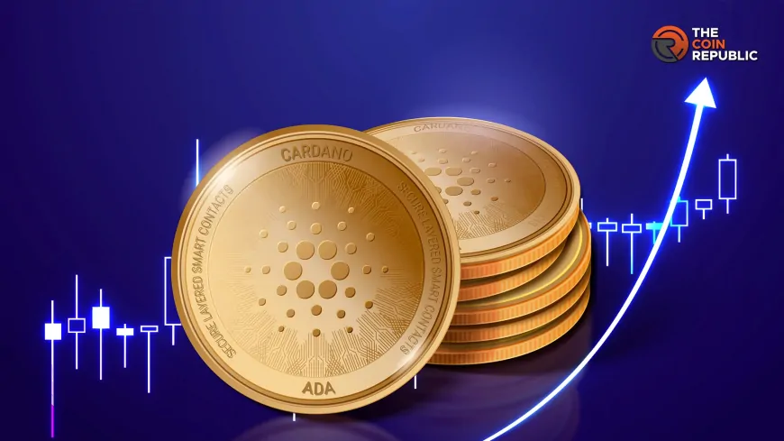 Cardano Mithril Gets Facelift In Rare Upgrade, ADA Price Up 5%