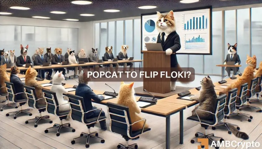 ‘Popcat gonna take Floki out' – Battle of the memecoins