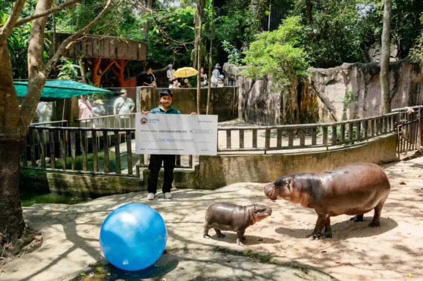 SUI meme $HIPPO enters into charity partnership with Moo Deng's zoo