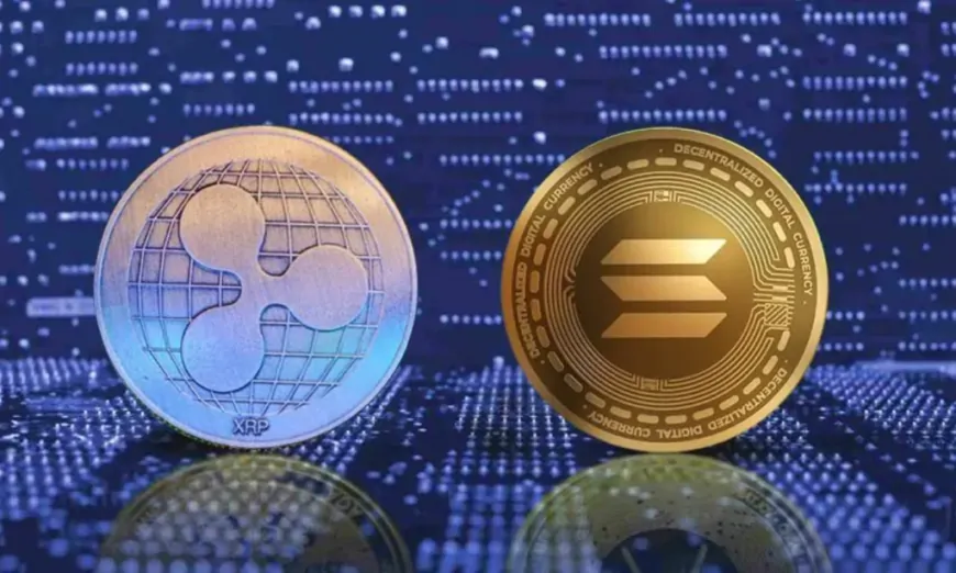 With BTC and ETH Leading the Charge, Could Solana and XRP Be Next in the Spotlight?