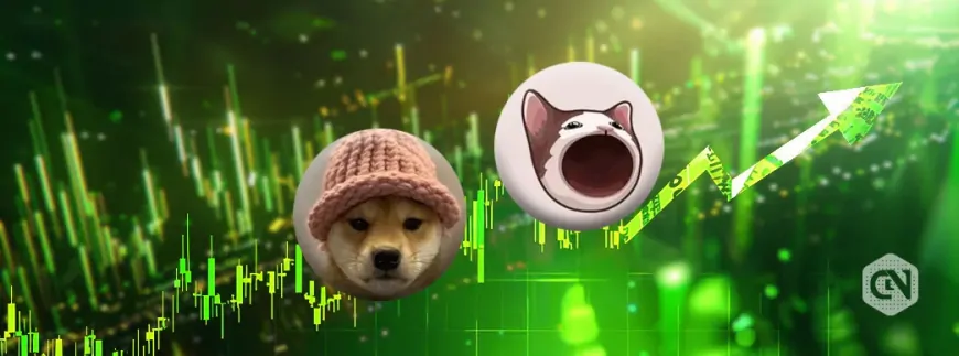 dogwifhat or Popcat (SOL): Which One Will Hit ATH First?