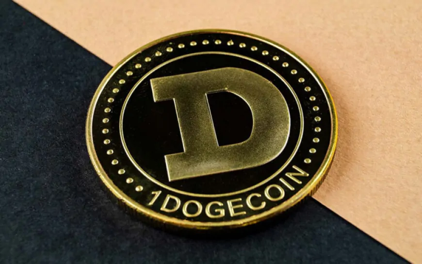 Dogecoin (DOGE) Price Obtains Crucial Bullish Fundamentals Ahead of Anticipated Altseason