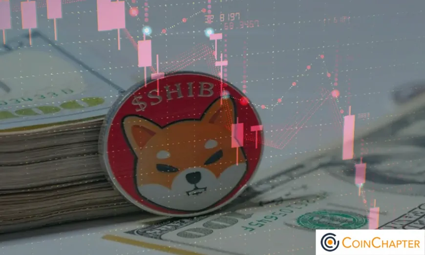 Hopium Fuels Shiba Inu ETF Speculations As SHIB Faces 75% Drop Risk